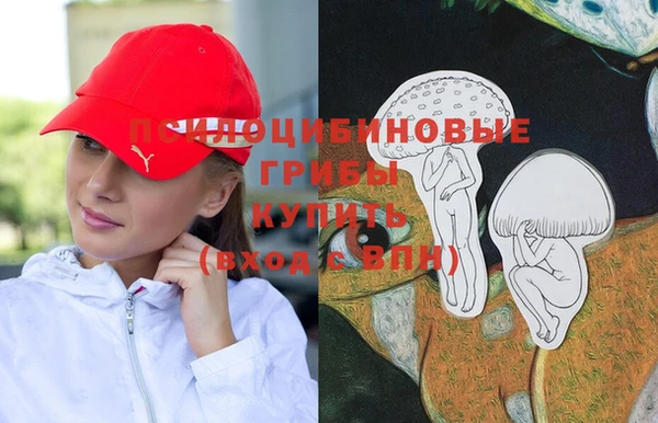 твердый Алзамай