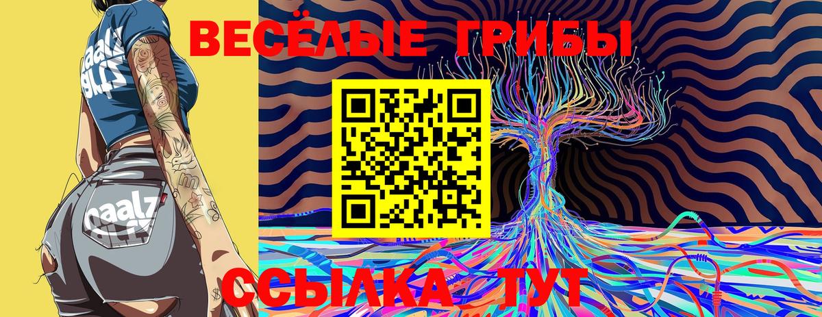 Галлюциногенные грибы MAGIC MUSHROOMS  Вход с VPN  Ефремов 