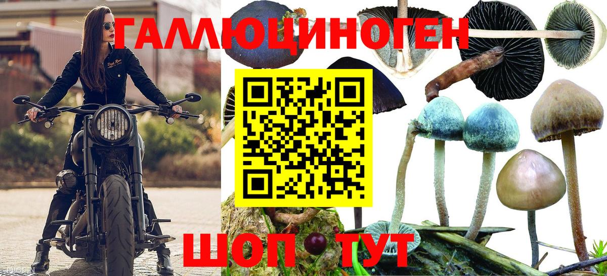 Псилоцибиновые грибы мухоморы Ефремов